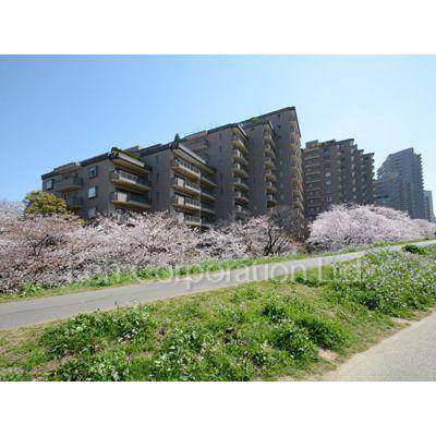 パークハウス多摩川南壱番館(2LDK/1階)