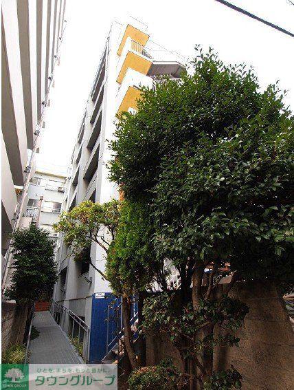 弥生町ファミリーマンション(1DK/5階)
