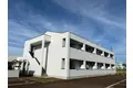 センチュリーカーサ