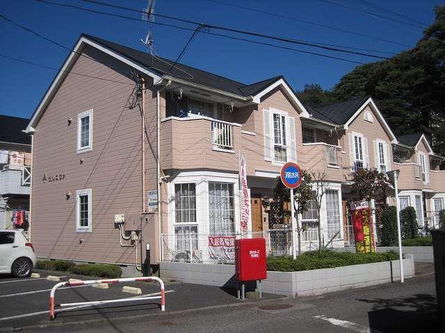 ゼルコヴァ