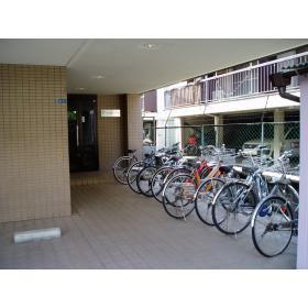 アマポーラ
