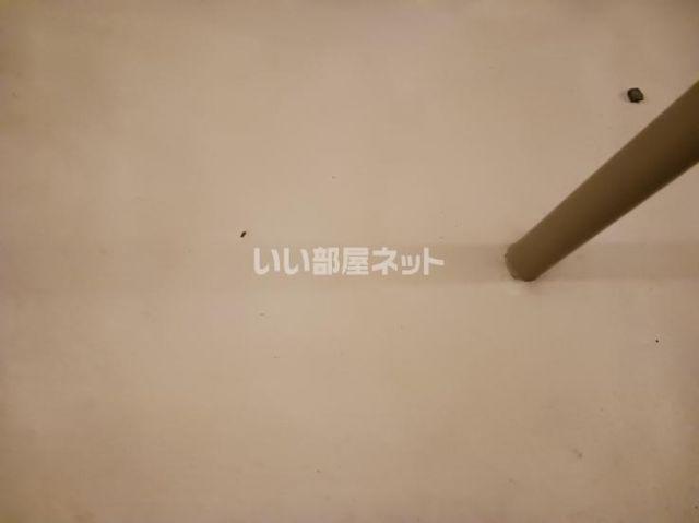 ステラ守山