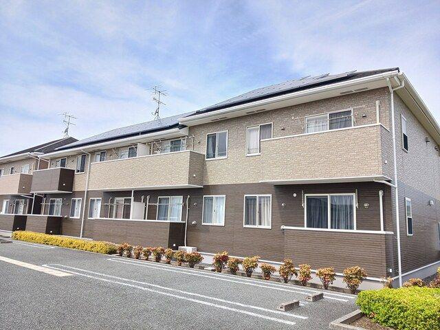 アングレカム D