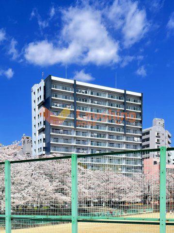 クラシオン小頭町公園前