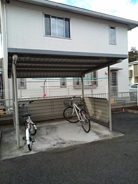 サザン・クロス