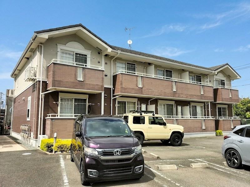 プラシード