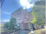 ラフィーネ