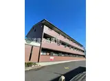 SUNNY COURT