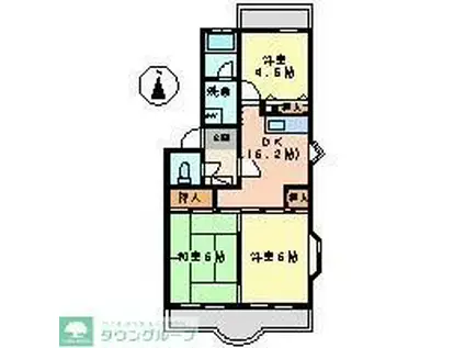 セントポーリア(3DK/2階)の間取り写真