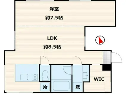 TRIAS362(1LDK/4階)の間取り写真