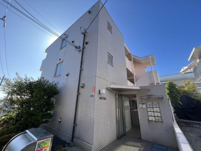 シェスタカメオ