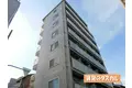 パンジービオラ春日出