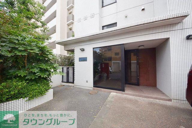 ステラ伸光