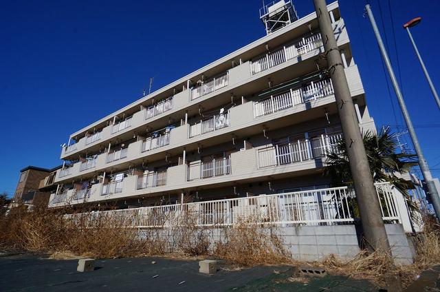 エレガンス小町