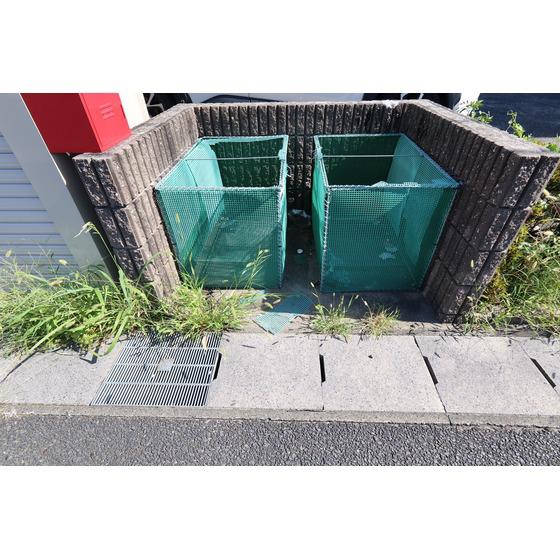 セレノII