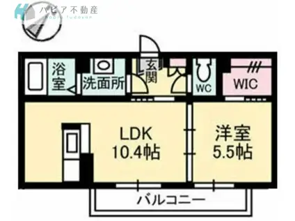 カサクレシアV(1LDK/3階)の間取り写真