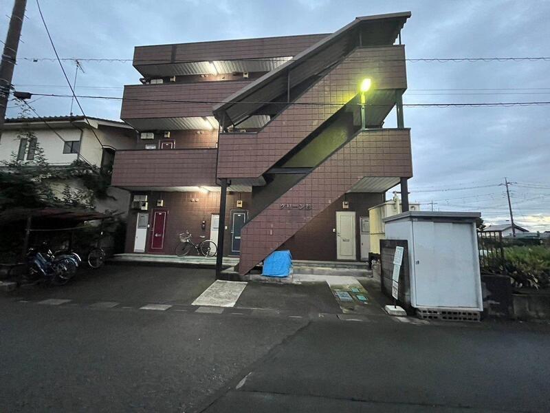 グリーン杉
