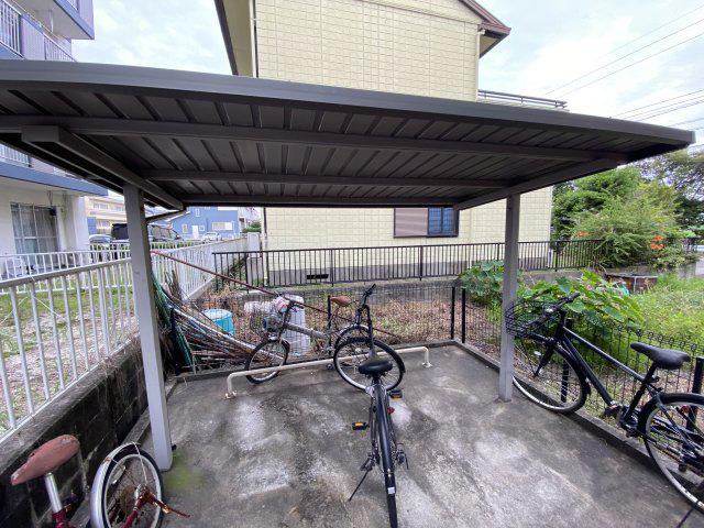 ベルツリー