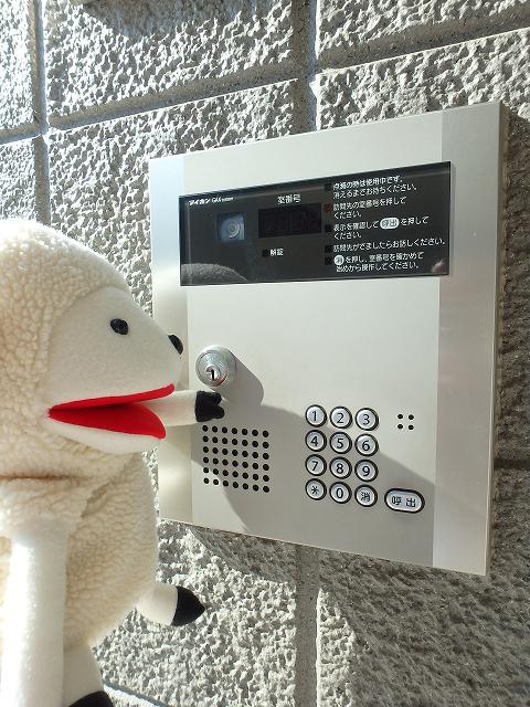 AF ラフィネ ノース