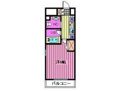 ベルファース大宮(1K/7階)の間取り写真