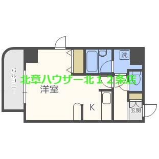 フェリスカーサN20(1K/4階)の間取り写真