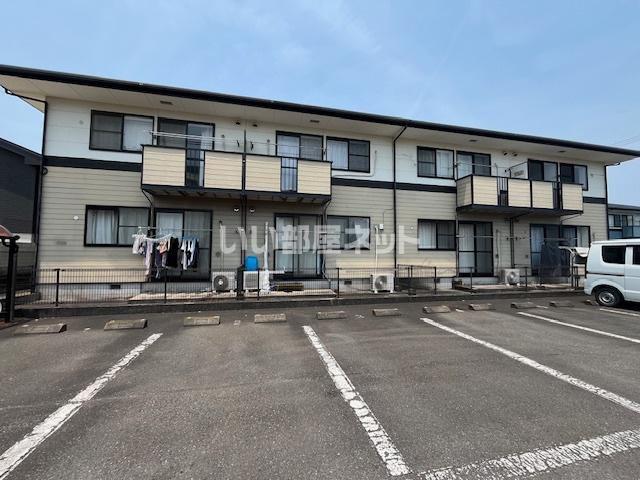 ステラ猪野