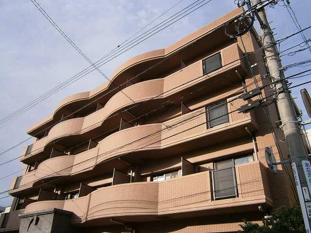 プリムローズ麻里布