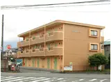 COCORA リブ