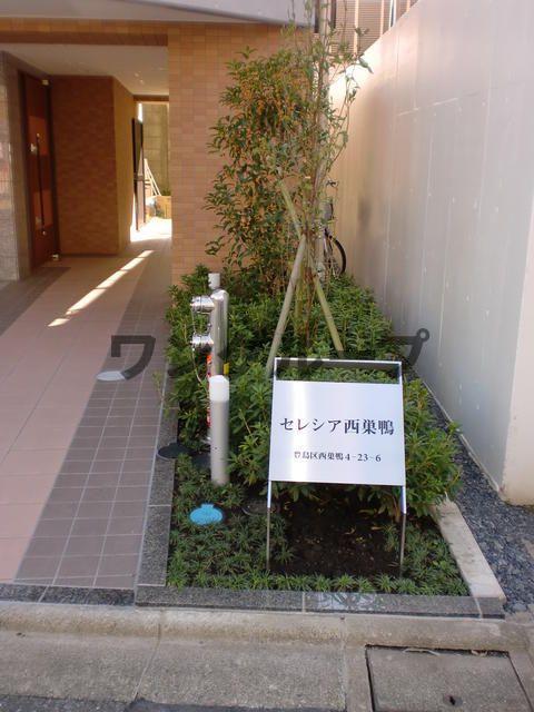 セレシア西巣鴨