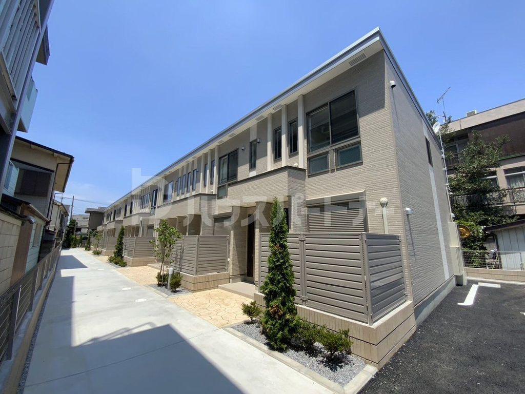 OLIVE TERRACE