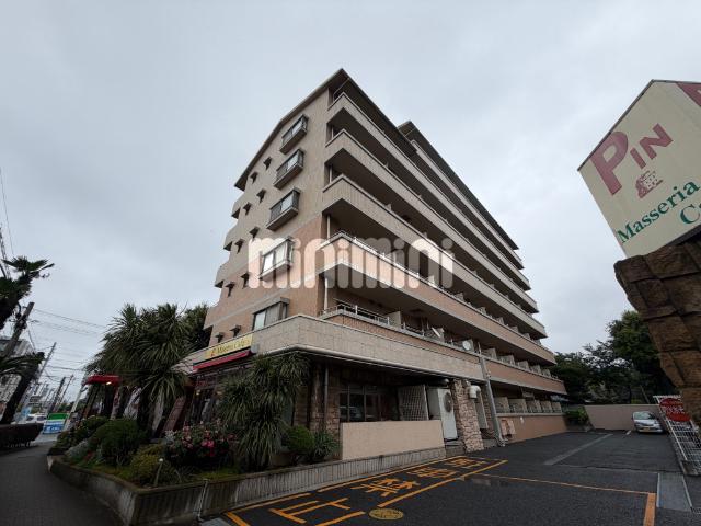 キチーム津田沼