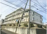 スクエア西部