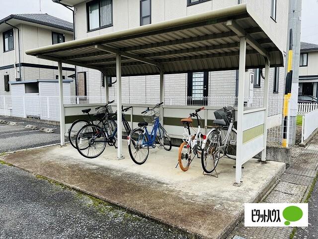 SURPLUS岡田