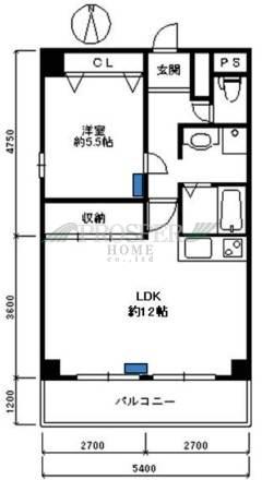 ベルドムール東横堀