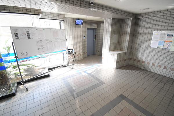 アヌビアス紫川