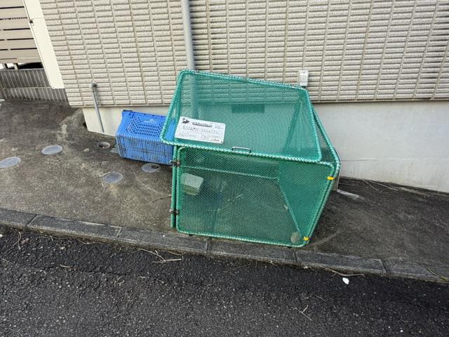 HACHINOJIハチノジ