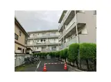 エルカーサ緑