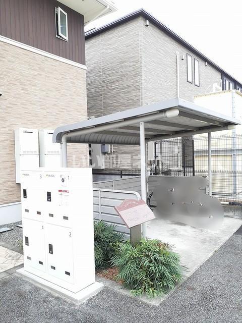 プラシード アルバ