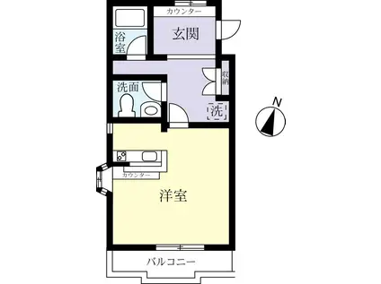 メゾンドFUJI(1K/1階)の間取り写真