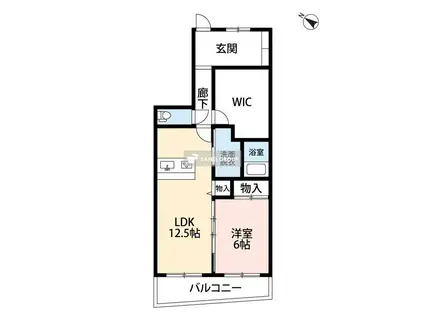 エステスクエア東所沢(1LDK/1階)の間取り写真