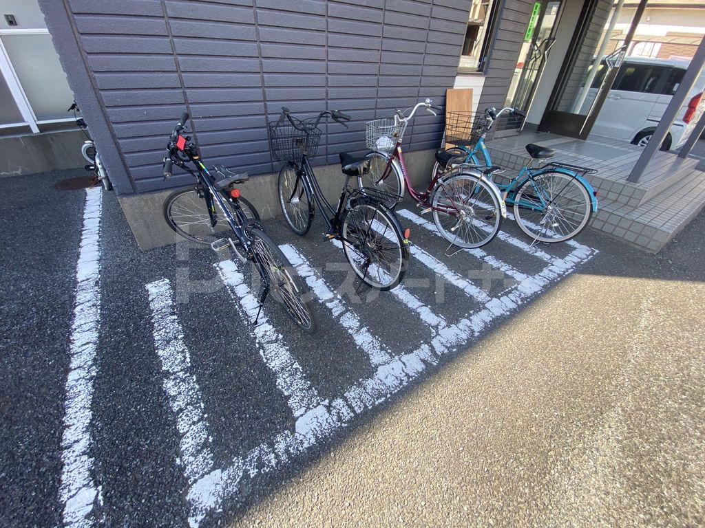 ホワイトルミエール