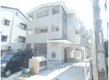 MAISON MINT