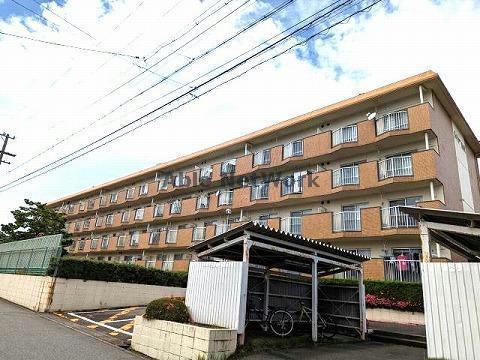 シャトー清城(2LDK/3階)