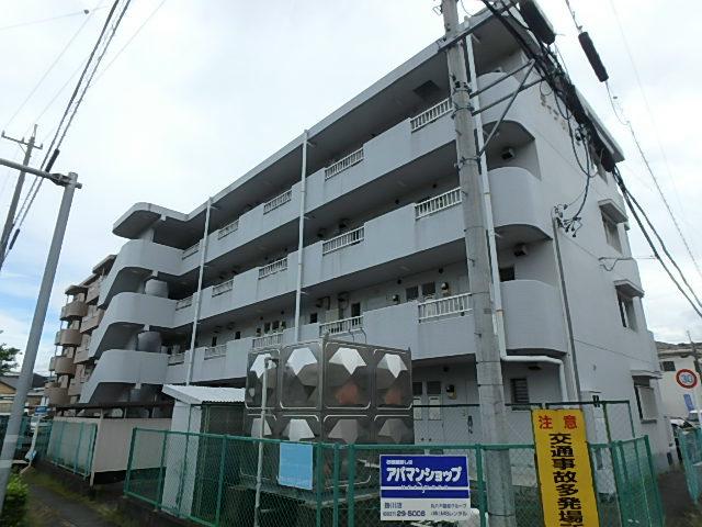 ライブ小島II