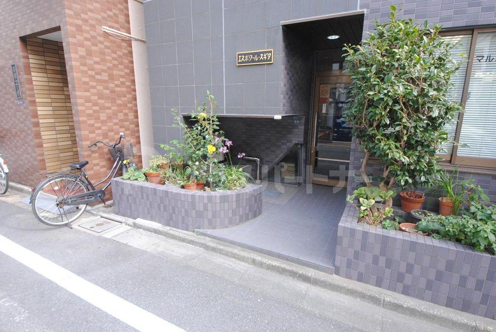 エスポワールスギタ