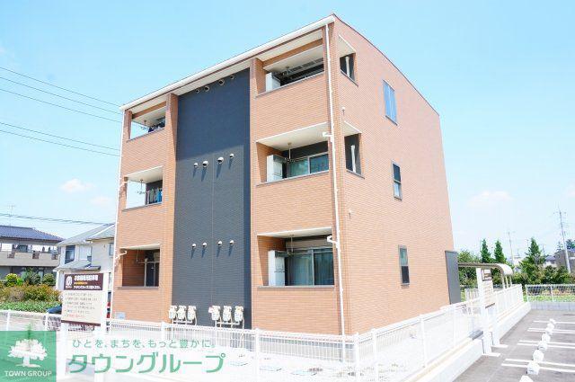 ステディーハウス