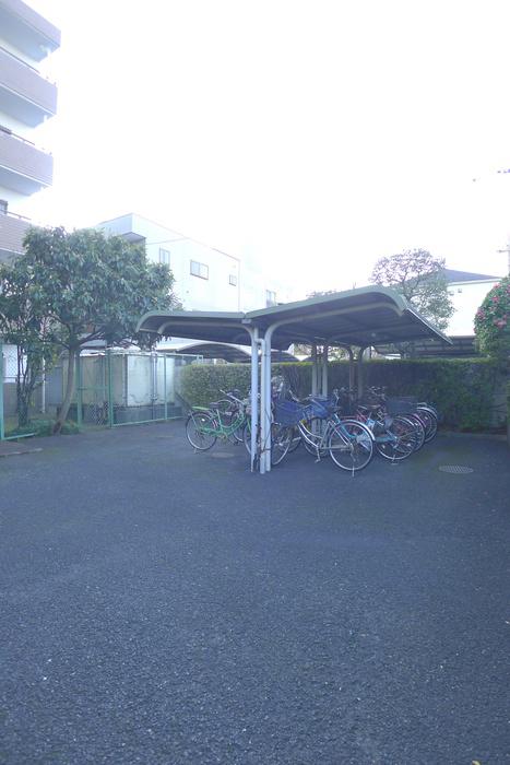 シェーン レーベン