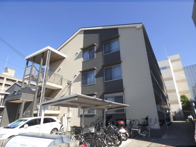 プリムローズⅢ