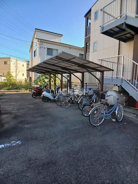 シャイニングコート