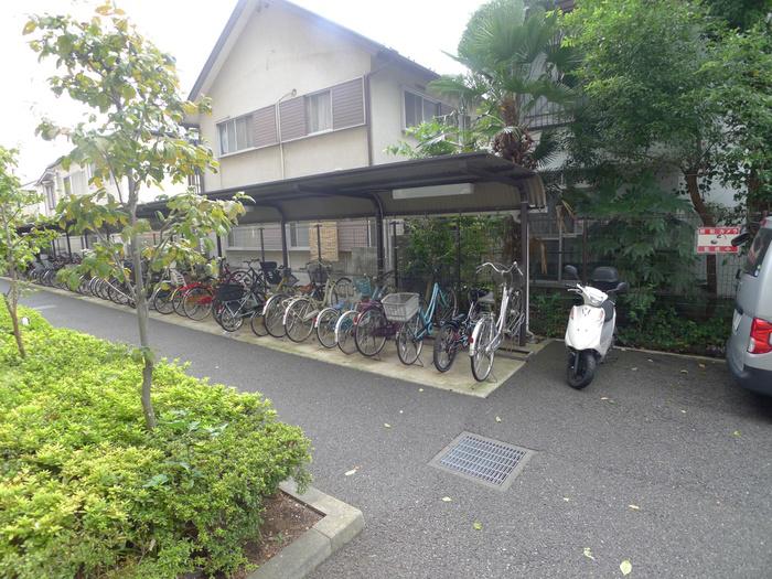 フォーリストフジカ